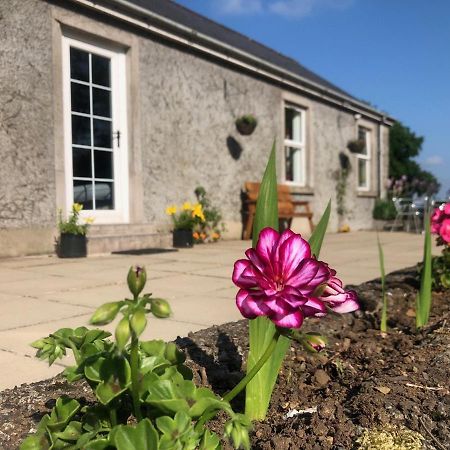 Ballyconnelly Cottages, Galgorm Area Cullybackey Buitenkant foto