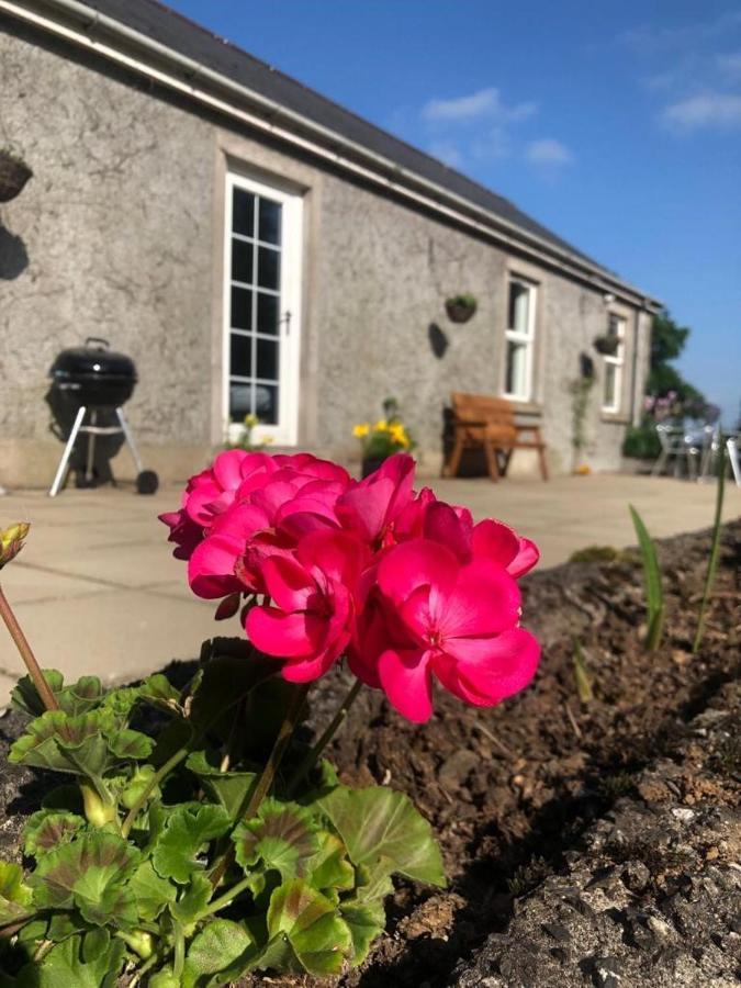 Ballyconnelly Cottages, Galgorm Area Cullybackey Buitenkant foto