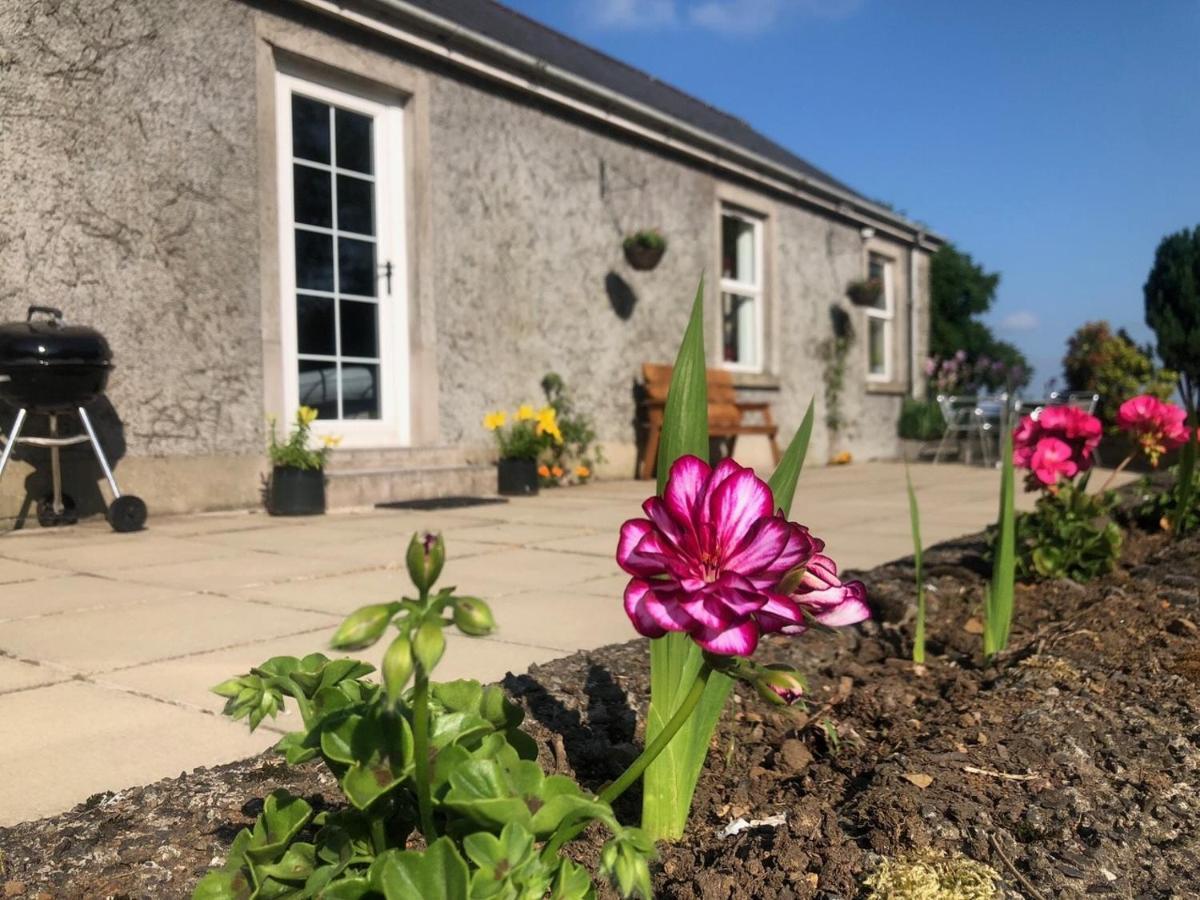Ballyconnelly Cottages, Galgorm Area Cullybackey Buitenkant foto